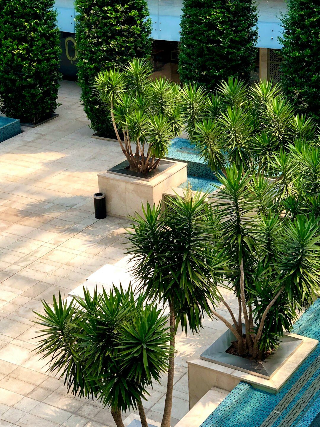 garden with pool